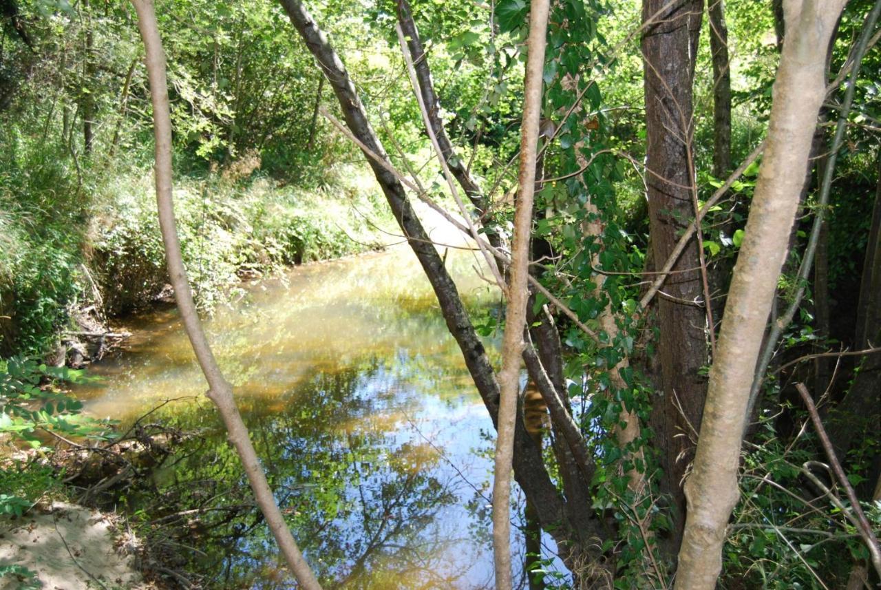 Le Logis Des Quatre Puits Panzió Neuvicq-Montguyon Kültér fotó